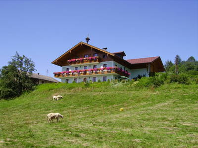 Bild 44 aus  Brandstatt