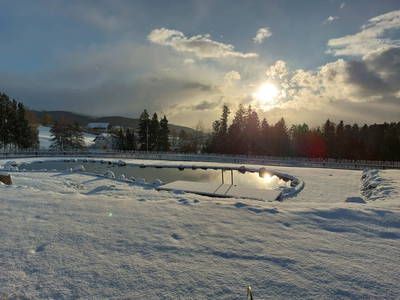 Bild 124 aus  Pircherhof - Adults Only am Biobauernhof