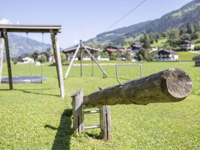 Bild 93 aus  Larchergut