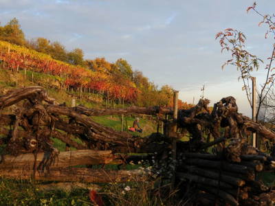 Bild 48 aus  Landhaus Furth 8