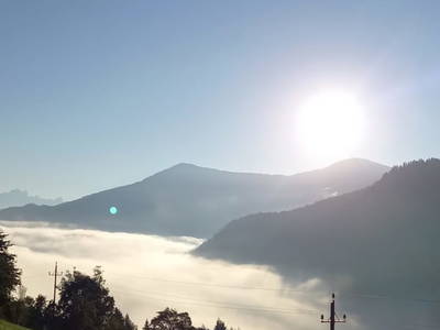 Bild 24 aus  Artlieb