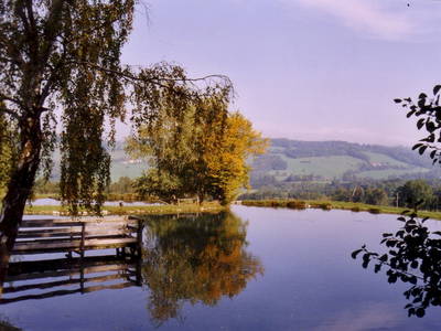 Bild 48 aus  Forellenhof