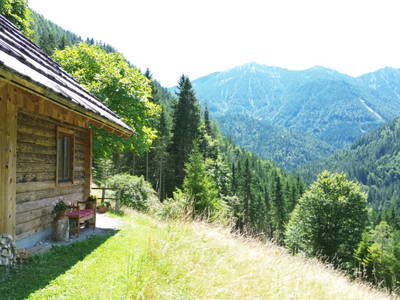 Bild 59 aus  Almhütte Meierle