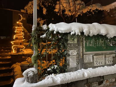 Bild 209 aus  Traubengarten Winkler