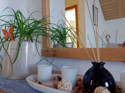 Bild 40 aus  Weingut Stoff