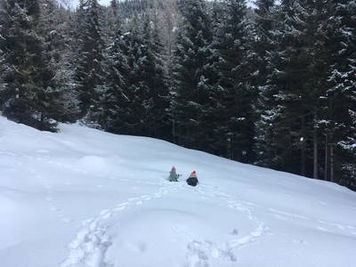 Bild 20 aus  Almhaus Gensbach