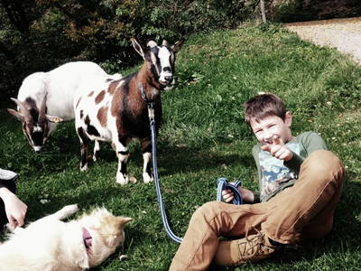 Bild 65 aus  Bergbauernhof Stauder, vlg. Oberrauter