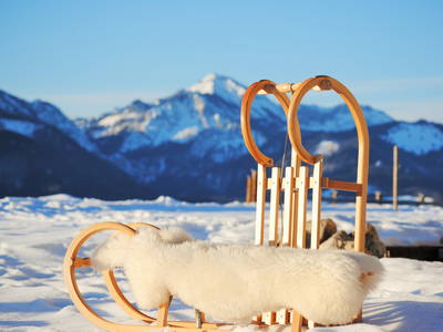 Schlittenfahren am eigenen Rodelhang am Daxlberger Hof
