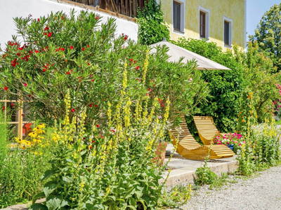 Bild 30 aus  Köllhof