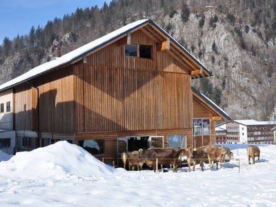 Bild 31 aus  Hof Erath