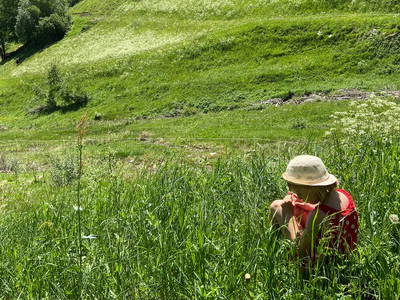 Bild 29 aus  Alpenfarm Poschhof
