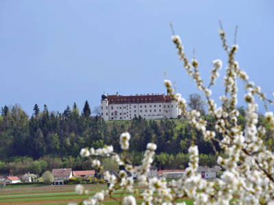 Bild 28 aus  Gästehaus Schlossblick