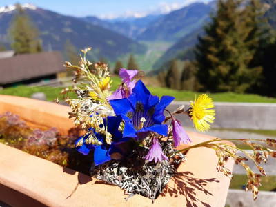 Bild 41 aus  Hoislbauernhütte