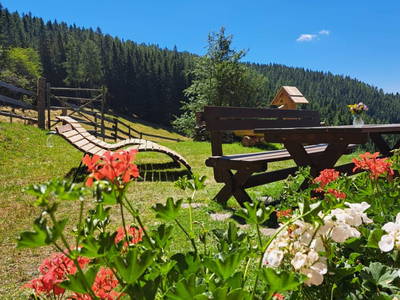 Bild 10 aus  Pettacher Hütte