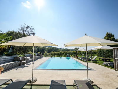 Bild 2 aus  Weingut Krispel