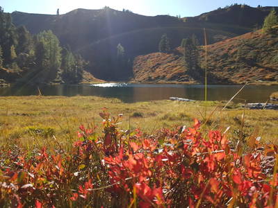 Bild 22 aus  Der Perweinhof