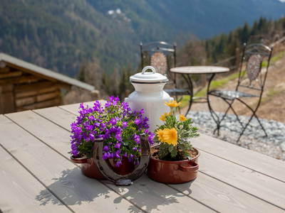 Bild 32 aus  Artlieb