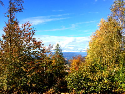 Bild 266 aus Arlitscherhof
