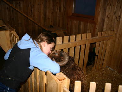 Bild 39 aus  Berghotel Marlstein - Urlaub auf 1800m