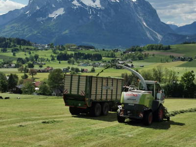 Bild 30 aus  Hüttstädterhof