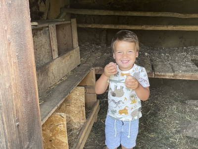 Bild 49 aus  Pirkerhof