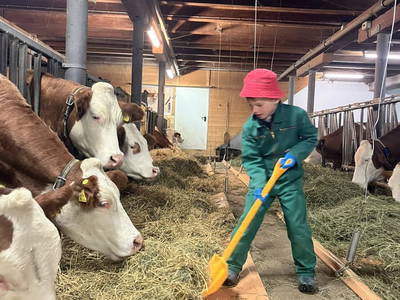 Bild 64 aus  Drittlhof