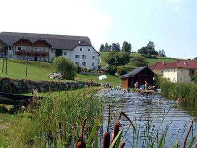 Bild 49 aus  Koller's Ferienparadies