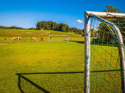 Bild 66 aus  Greischbergerhof