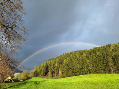 Bild 21 aus Naturpark Bauernhof Sperl