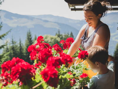 Bild 33 aus  Almhütte Kohlenau