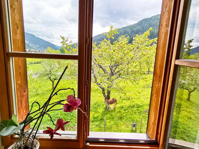 Bild 151 aus  Bio Naturhof Ottingerhof