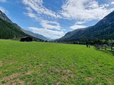 Bild 53 aus  Alfaierhof & Bergheimat