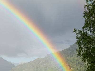 Bild 217 aus  Stanglhof