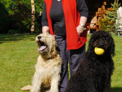 Bild 20 aus  Erlenhof im Oderbruch - Rund ums Schaf