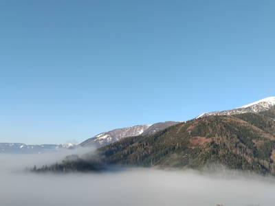 Bild 76 aus  Himmelbauer