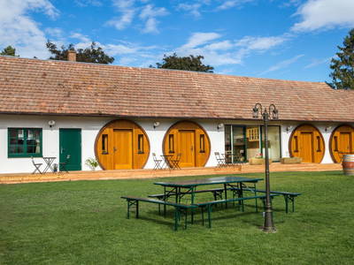 Bild 170 aus  Winzerhof Küssler, Weinviertel