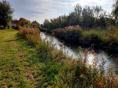 Bild 13 aus Bauernhof Webinger