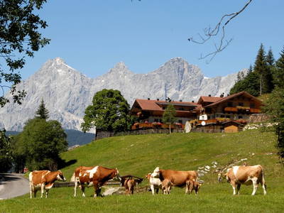 Bild 2 aus  Strickhof