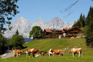 Strickhof aus Schladming