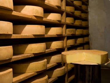 Bild 33 aus  Bio Bauernhof Burtscher