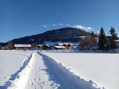Bild 120 aus  Brandstätthof