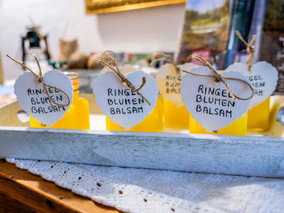 Bild 168 aus  Zehentnerhof