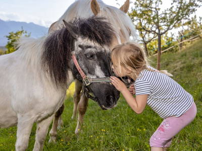 Bild 3 aus  Pleschinhof