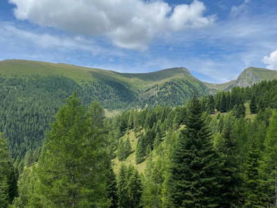 Bild 23 aus  Dreicharhütte