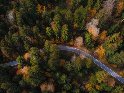 Bild 30 aus  Haus Adlerhorst