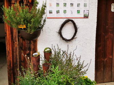 Bild 48 aus  Sank Haus - Alte Mühle