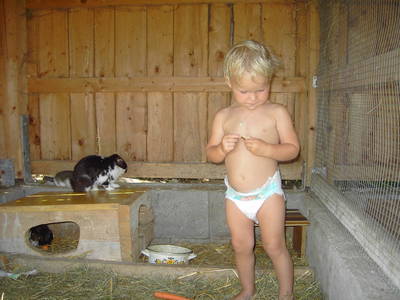 Bild 70 aus  Familienbauernhof Strassbauer