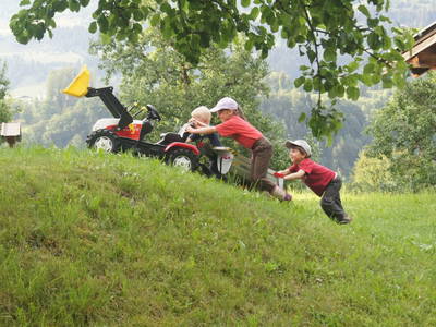 Bild 71 aus  Taxengut