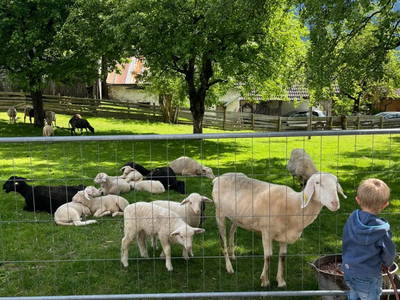 Bild 5 aus  S'Landhäuschen