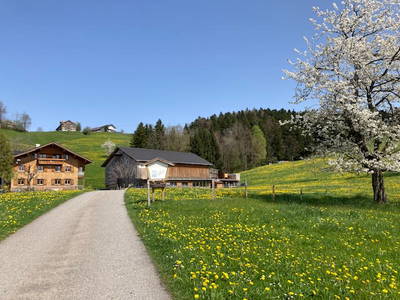 Bild 73 aus Familie Nußbaumer